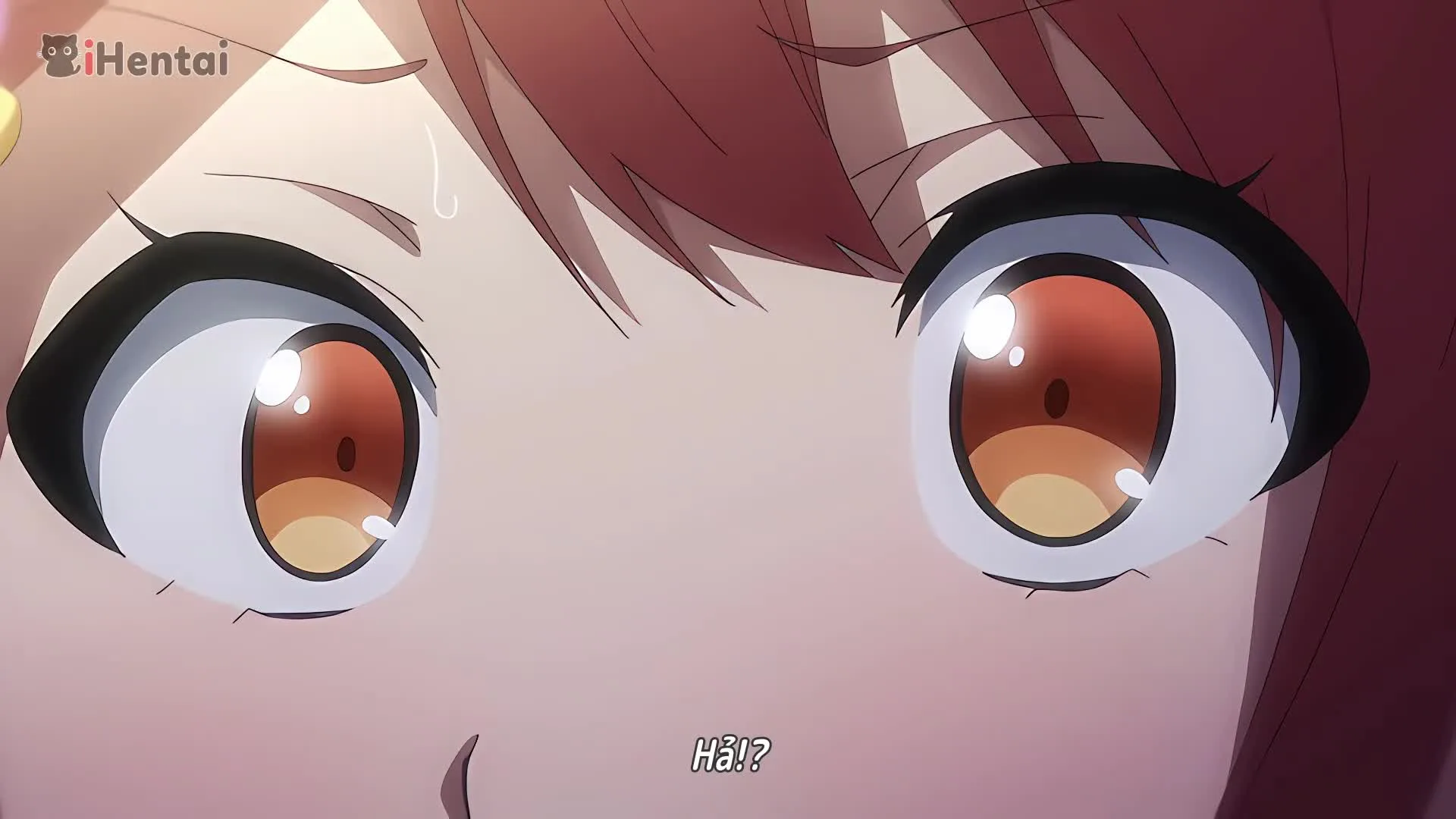 Sister Breeder - Chăn Bà Chị Gái - シスターブリーダー